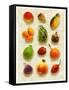 Exotic Fruit in Style of a Painting-Peter Howard Smith-Framed Stretched Canvas