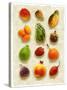 Exotic Fruit in Style of a Painting-Peter Howard Smith-Stretched Canvas