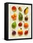 Exotic Fruit in Style of a Painting-Peter Howard Smith-Framed Stretched Canvas