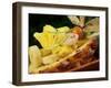 Exotic Fruit Salad in Half a Pineapple-Foodcollection-Framed Photographic Print