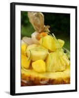 Exotic Fruit Salad with Lime Zest in Half a Pineapple-Foodcollection-Framed Photographic Print