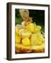 Exotic Fruit Salad with Lime Zest in Half a Pineapple-Foodcollection-Framed Photographic Print