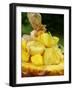 Exotic Fruit Salad with Lime Zest in Half a Pineapple-Foodcollection-Framed Photographic Print