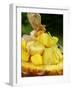 Exotic Fruit Salad with Lime Zest in Half a Pineapple-Foodcollection-Framed Photographic Print