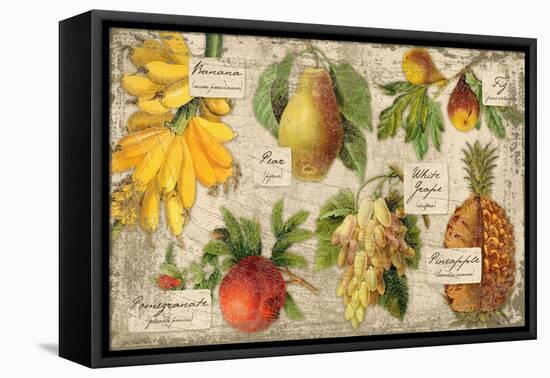 Exotic Fruit-Kate Ward Thacker-Framed Stretched Canvas