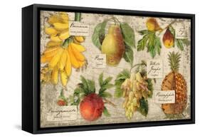 Exotic Fruit-Kate Ward Thacker-Framed Stretched Canvas