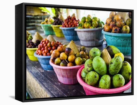 Exotic Fruits at a Tropical Fruit Farm, Bali, Indonesia, Southeast Asia, Asia-Matthew Williams-Ellis-Framed Stretched Canvas