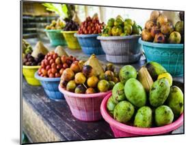 Exotic Fruits at a Tropical Fruit Farm, Bali, Indonesia, Southeast Asia, Asia-Matthew Williams-Ellis-Mounted Photographic Print