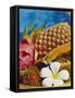 Exotic Fruits: Lychees, Red Pitahaya, Papaya, Pineapple-Vladimir Shulevsky-Framed Stretched Canvas