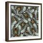 Exotic Grey and Pale Green Background Made of Cambodian Junglequeen Butterflies in the Greatest Des-Super Prin-Framed Photographic Print