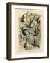 Exotic Humming Birds (Kolibris) - Vintage Bookplate Illustration, 1892-G. Mütrel-Framed Art Print