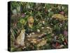 Exotic Jungle-Betty Lou-Stretched Canvas