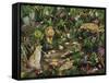Exotic Jungle-Betty Lou-Framed Stretched Canvas