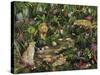 Exotic Jungle-Betty Lou-Stretched Canvas