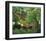 Exotic Landscape, 1910-Henri Rousseau-Framed Premium Giclee Print