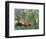 Exotic Landscape, 1910-Henri Rousseau-Framed Premium Giclee Print