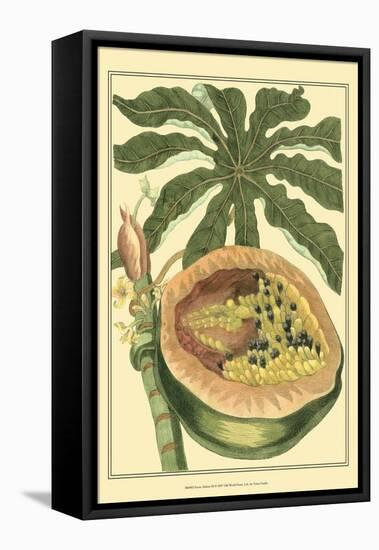 Exotic Melons III-Vision Studio-Framed Stretched Canvas
