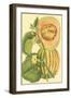 Exotic Melons IV-Vision Studio-Framed Art Print