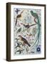 Exotic Parrots, c.1850-John James Audubon-Framed Premium Giclee Print