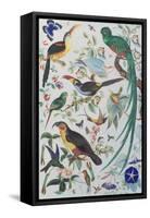 Exotic Parrots, c.1850-John James Audubon-Framed Stretched Canvas