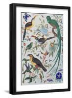 Exotic Parrots, c.1850-John James Audubon-Framed Giclee Print