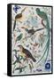 Exotic Parrots, c.1850-John James Audubon-Framed Stretched Canvas