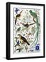 Exotic Parrots-null-Framed Giclee Print