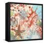 Exotic Sea Life V-Irena Orlov-Framed Stretched Canvas