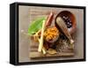 Exotic Spice Still Life with Chili-Foodcollection-Framed Stretched Canvas