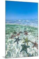 Exotic starfish under the breaking waves in the transparent water of the Indian Ocean-Roberto Moiola-Mounted Premium Photographic Print