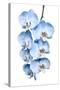 Exotic Tropical Branch of Romantic Blue Orchids Flowers-servickuz-Stretched Canvas