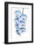 Exotic Tropical Branch of Romantic Blue Orchids Flowers-servickuz-Framed Photographic Print