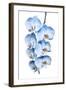 Exotic Tropical Branch of Romantic Blue Orchids Flowers-servickuz-Framed Photographic Print