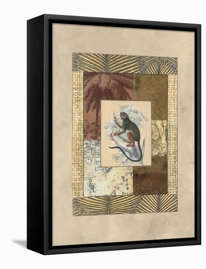 Exotic VI-Amy Weaver-Framed Stretched Canvas