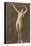 Exotic Vintage Nude-null-Stretched Canvas