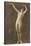 Exotic Vintage Nude-null-Stretched Canvas