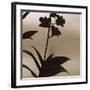 Exotica I-Tony Koukos-Framed Giclee Print