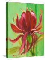 Exotica I-Patricia Pinto-Stretched Canvas