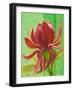 Exotica I-Patricia Pinto-Framed Art Print