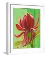 Exotica I-Patricia Pinto-Framed Art Print