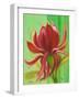 Exotica I-Patricia Pinto-Framed Art Print