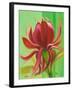 Exotica I-Patricia Pinto-Framed Art Print