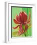 Exotica I-Patricia Pinto-Framed Art Print