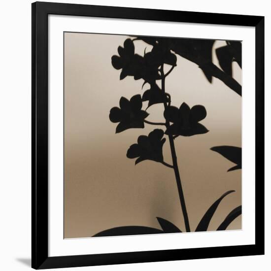 Exotica II-Tony Koukos-Framed Giclee Print