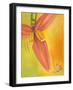 Exotica II-Patricia Pinto-Framed Art Print