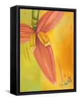 Exotica II-Patricia Pinto-Framed Stretched Canvas