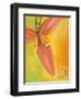 Exotica II-Patricia Pinto-Framed Art Print