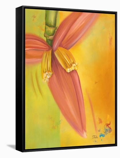 Exotica II-Patricia Pinto-Framed Stretched Canvas