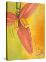 Exotica II-Patricia Pinto-Stretched Canvas