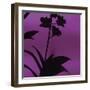 Exotica III-Tony Koukos-Framed Art Print